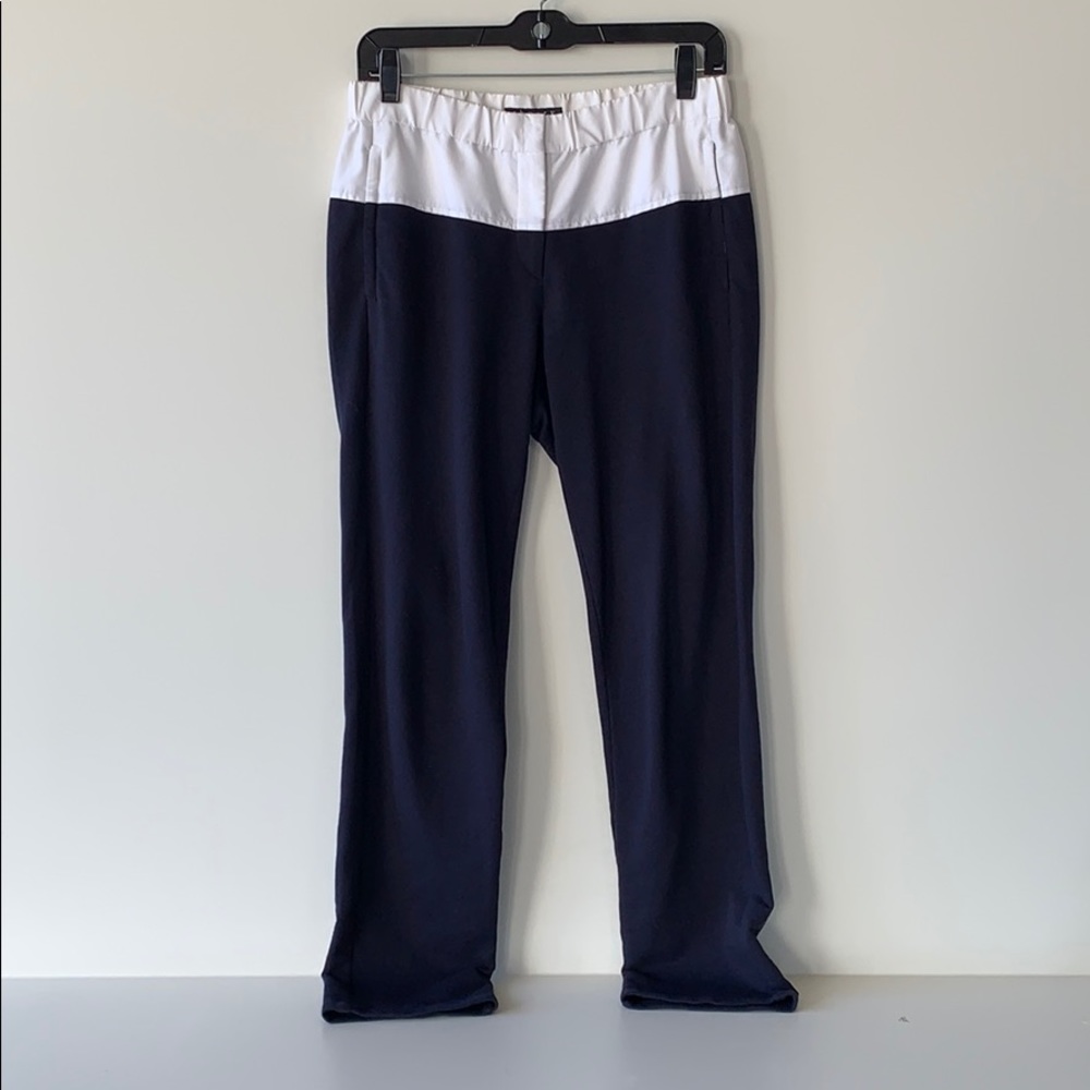 Theory | White and Blue Two-Tone Pants